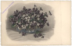 Schneeglöckchen und Veilchen in Vase