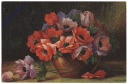 ak108543 Anemonen