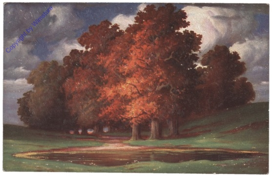 Eichen im Herbst