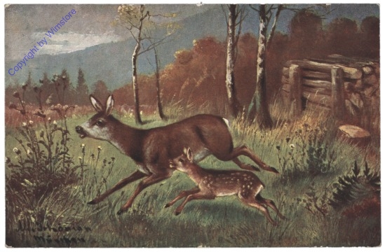 Rehe
