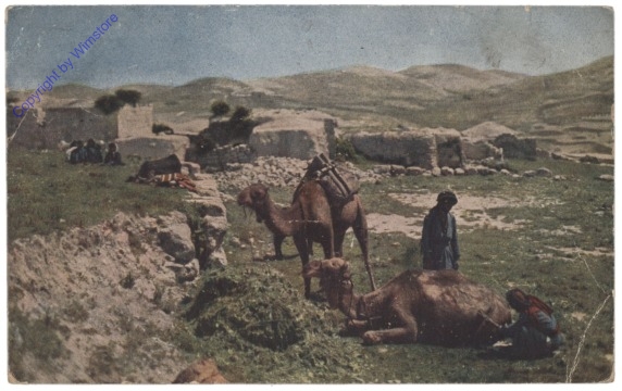 ak108771 Fellachendorf