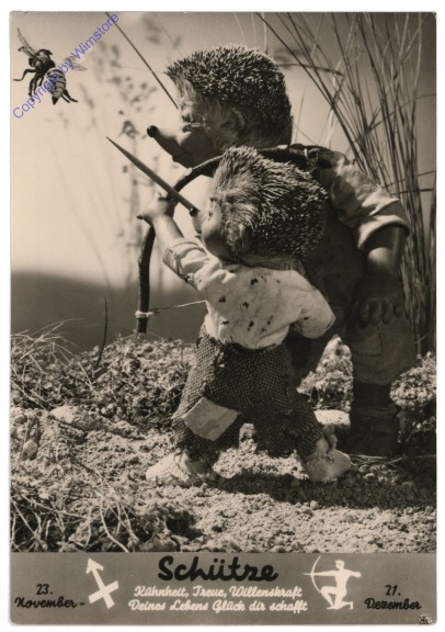 Mecki Sternzeichen: Schütze