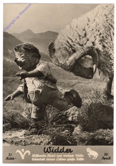 Mecki Sternzeichen: Widder