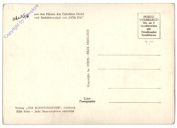 Mecki Sternzeichen: Schütze