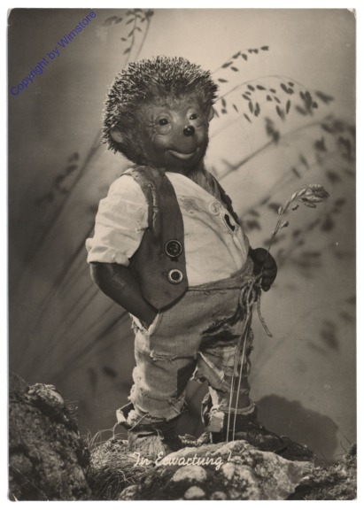 Mecki 003: In Erwartung!