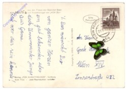 Mecki: Die sollen Dir Glück bringen