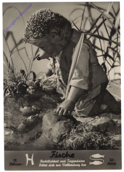 Mecki Sternzeichen: Fische