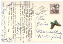 Mecki 030: Immer mit der Ruhe!