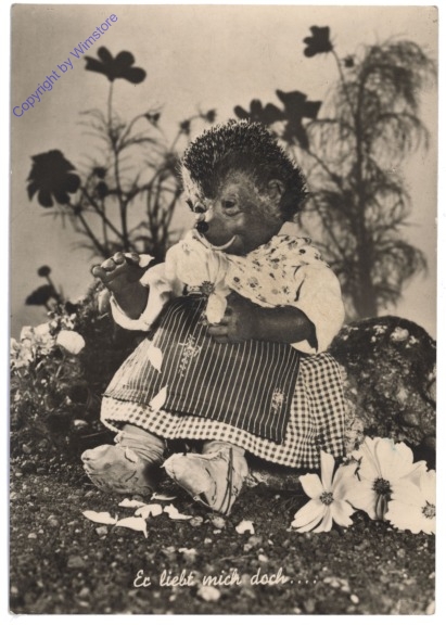 Mecki 009: Er liebt mich doch ...