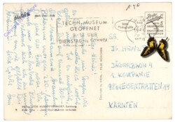 Mecki 009: Er liebt mich doch ...