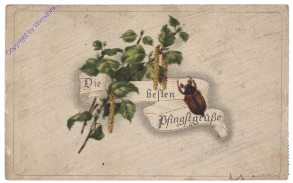 Birkenzweig mit Käfer