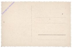 ak108997a Bub schenkt Mutter Blumen