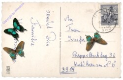 ak109000a Rosen und Veilchen