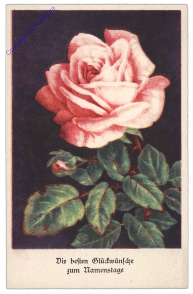ak109018 Rose, Namenstag
