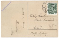 Mädchen mit Blumen-Karre, Namenstag