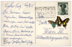 Zwerge klettern auf Blume, Namenstag