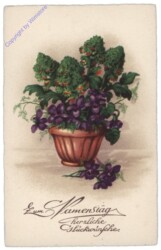 Blumenvase, Namenstag