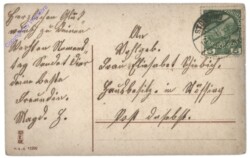 Brieftaube, Namenstag