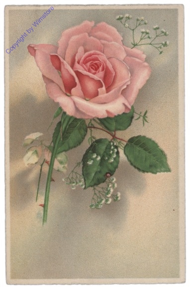 ak109052 Rose, Namenstag