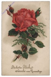 ak109058 Rose, Namenstag
