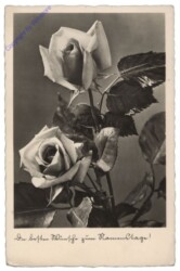 ak109059 Rosen