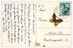 ak109079a Rosenstrauß, Namenstag