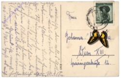 Maiglöckchen mit Marienkäfer, Namenstag