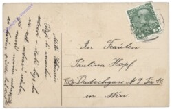 Brieftauben, Namenstag