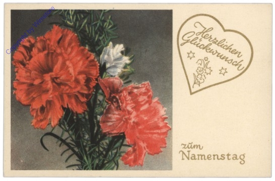 ak109103 Nelken, Namenstag