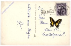 ak109112a Rosenvase, Geburtstag