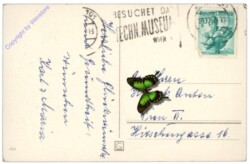 ak109113a Rosen, Geburtstag