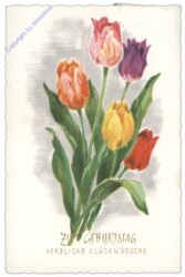 ak109127 ANU 2635: Tulpen, Geburtstag
