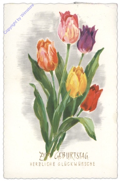 ak109127 ANU 2635: Tulpen, Geburtstag