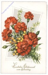 ak109129 Nelken, Geburtstag