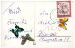 ak109129a Nelken, Geburtstag