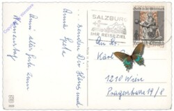 ANU 2629: Rosen, Geburtstag