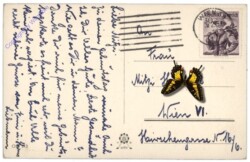 ak109141a Nelken, Geburtstag