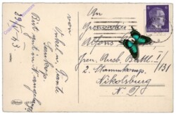 Blumenvase, Geburtstag