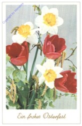 Tigra III: Tulpen und Narzissen