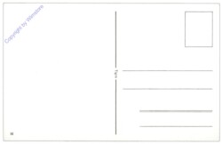 Tigra III: Narzissen und ein Korb mit Eier