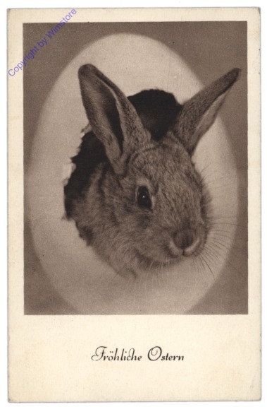 Osterhase guckt aus einem Ei