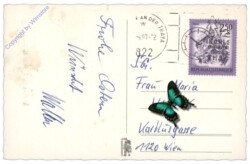 Kücken vor Osterkorb