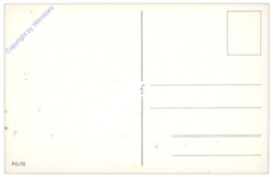 Tigra P0/72: Blumenstrauß