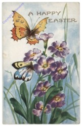 Blumen mit Schmetterlingen, Reliefkarte