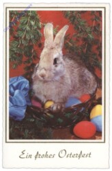 Osterhase im Korb