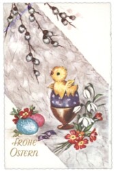 ANU 5695: Kücken im Eierbecher