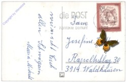 Grapha: Blumenstrauß