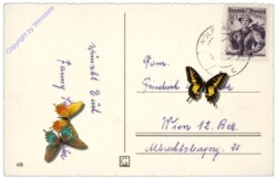 Grapha 428: Mädchen mit Lamm
