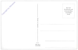 Wi-Ko 9008: Blumenstrauß