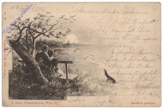 Osterhase am Feld